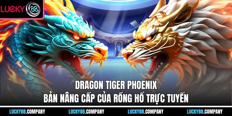 Dragon Tiger Phoenix